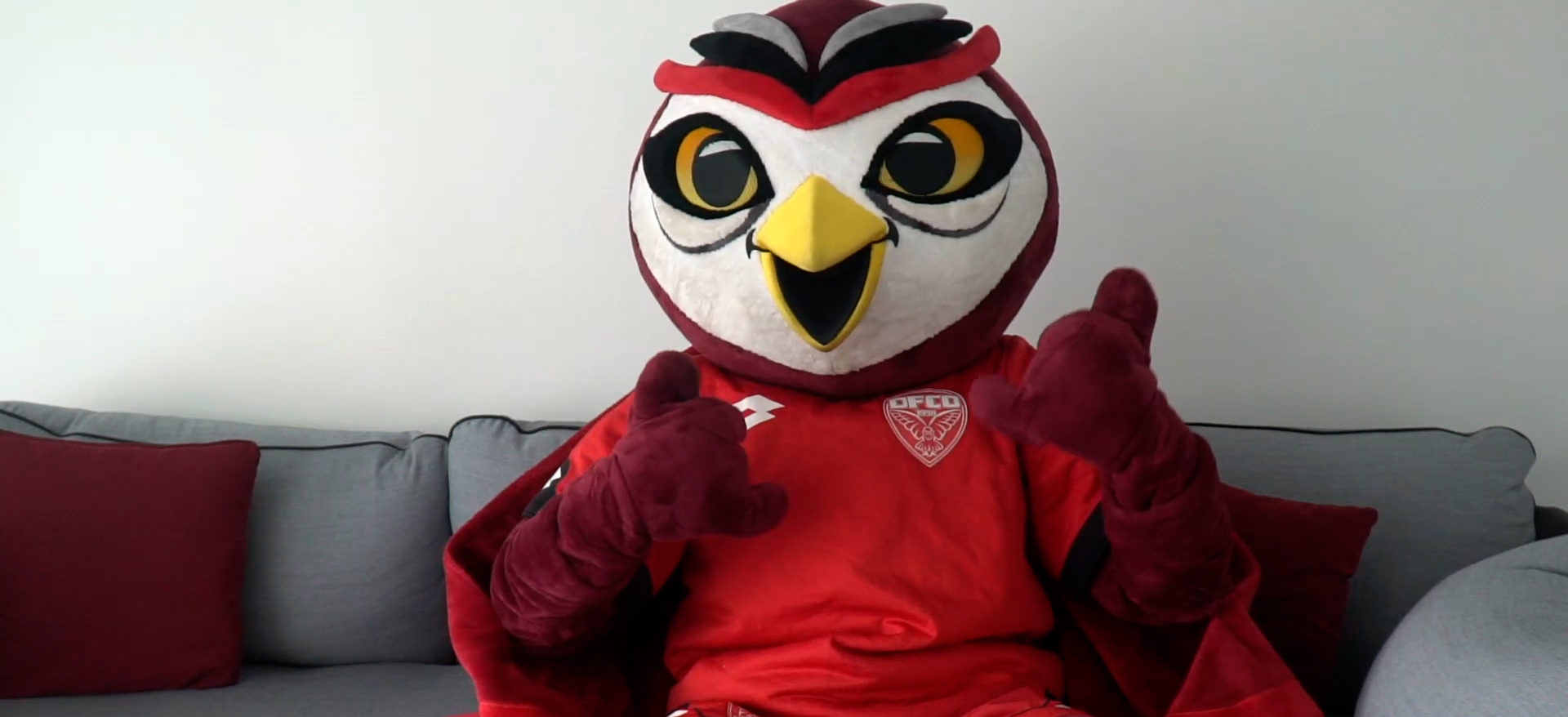 Bienvenue sur votre nouveau DFCO.FR !