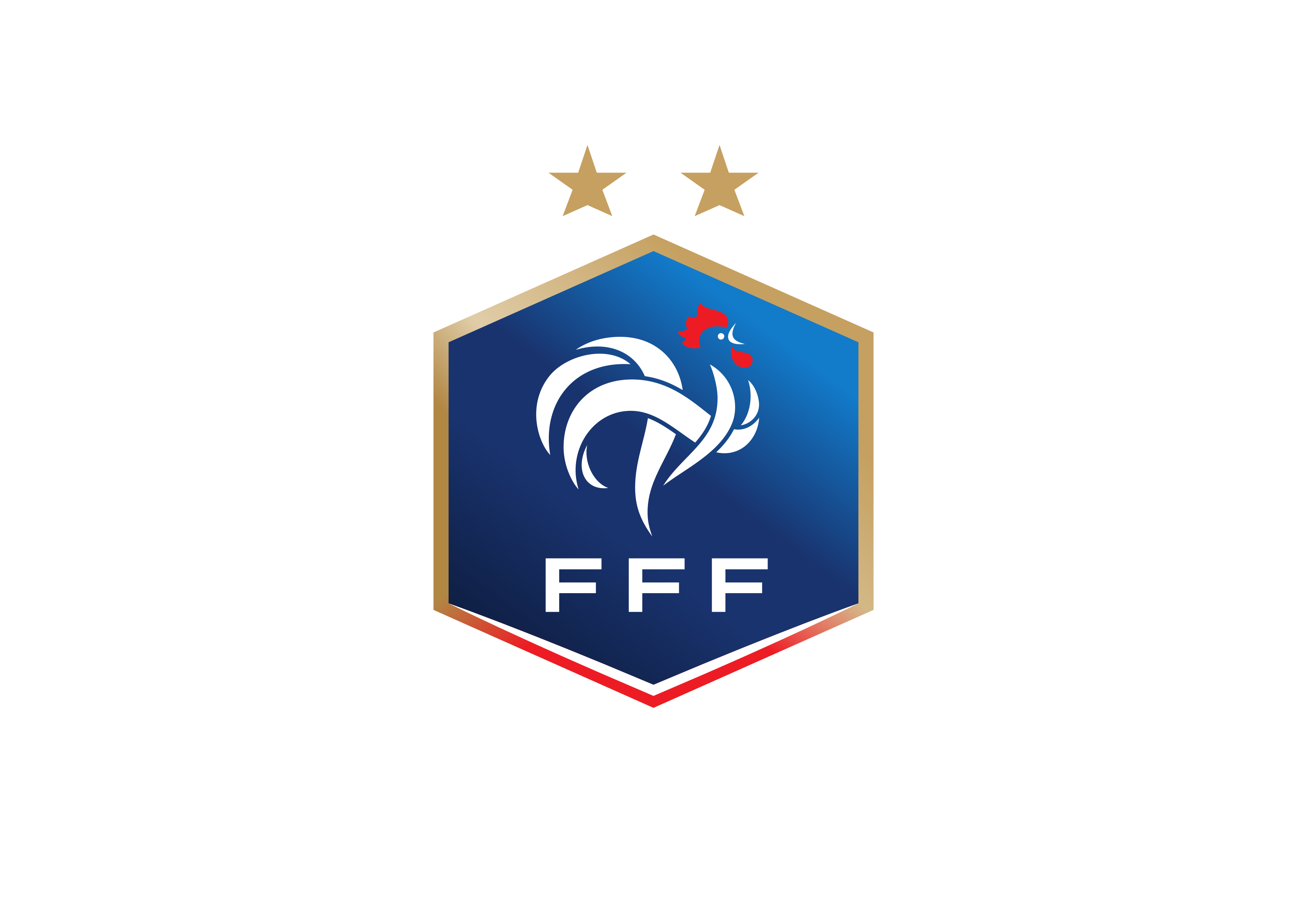 U15/U16 (F) : 6 joueuses du DFCO en équipe de France !