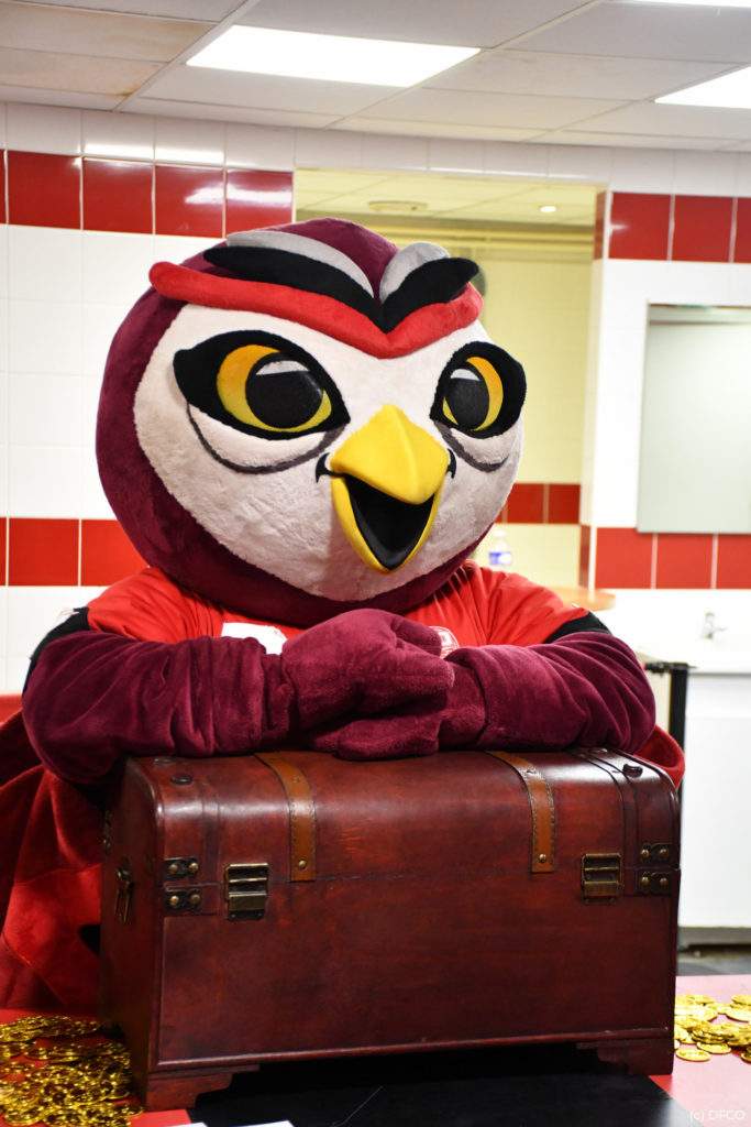 L’album photos de la chasse aux Trésors !