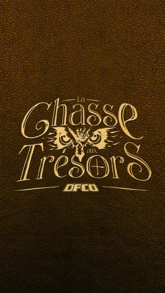 Chasse aux Trésors DFCO les 23-24 octobre à Gaston-Gérard !