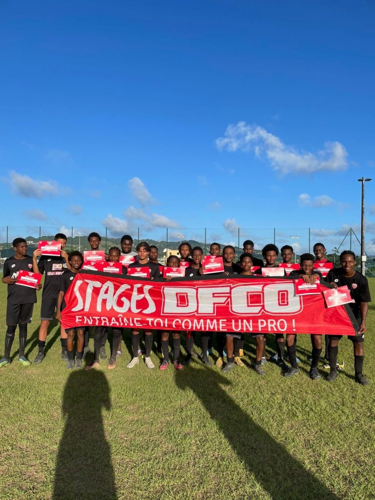 Stages DFCO en Martinique et en Guyane : inscrivez-vous!