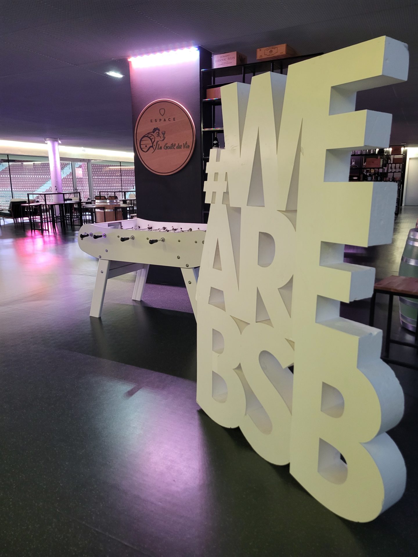 La soirée Alumni de la BSB