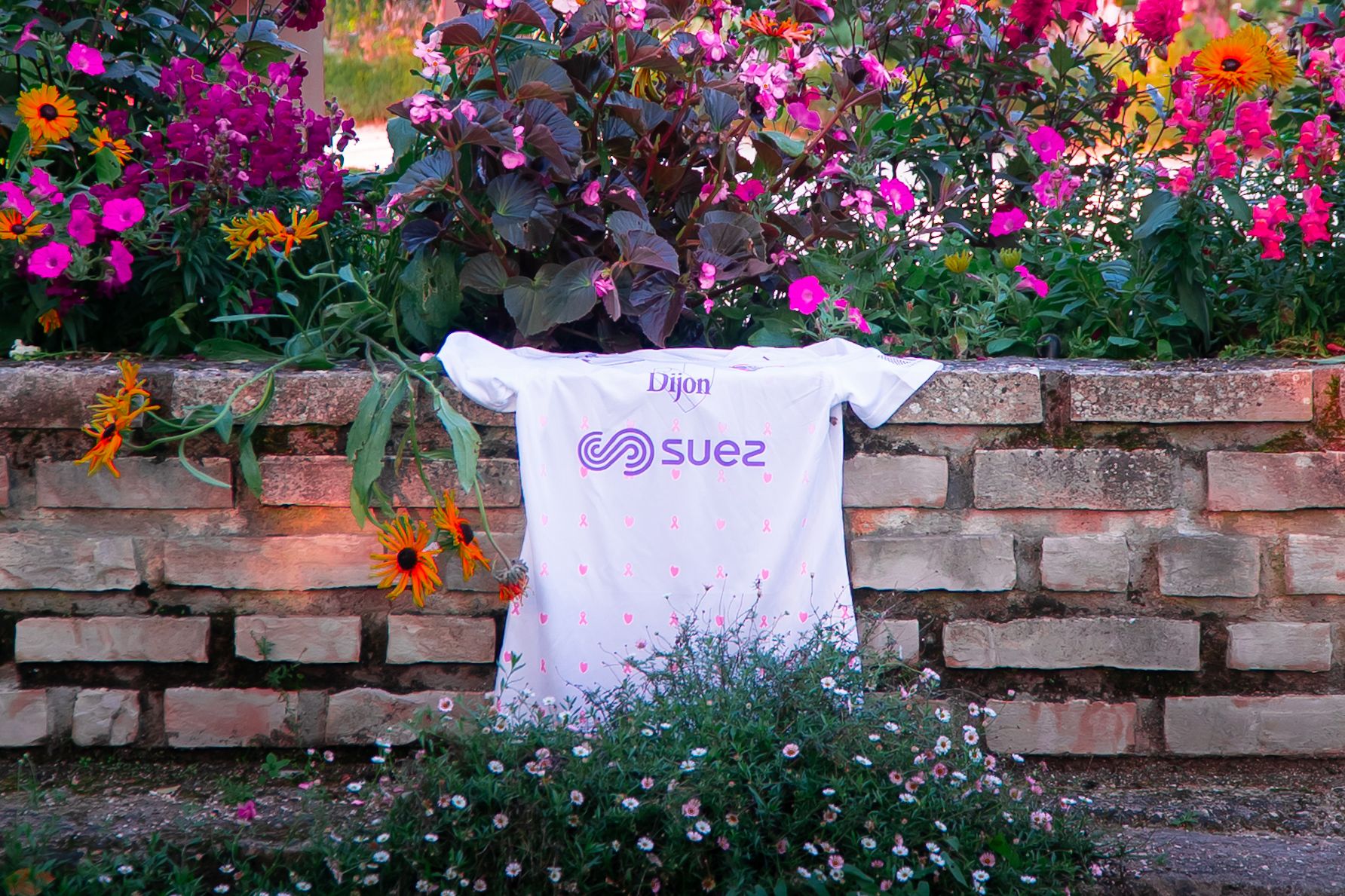 Octobre Rose s’invite au DFCO !